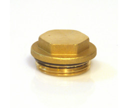 DOP COLECTOR DIN ALAMA, D 3/4" FE