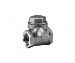 SUPAPA DE SENS BIANCHI CU CLAPETA 2 1/2"