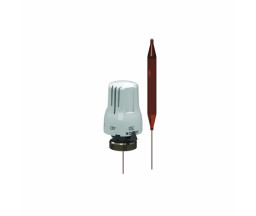 CAP TERMOSTATIC CU SONDA, INCALZIRE PARDOSEALA, 20-65 C, M30x1,5