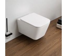 VAS WC SUSPENDAT EVOLUTION, PATRAT, CU CAPAC, ALB, 52x35x34,5 cm