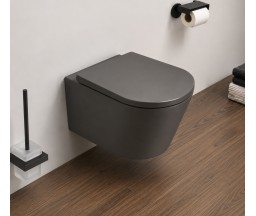 VAS WC SUSPENDAT EVOLUTION, ROTUND, CU CAPAC, ANTRACIT MAT, 48x36.5x36cm